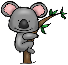 Koalas Have A Heavily Padded Wedge Shaped Backside To Fit Snuggly In The Fork Of A Tree. Kangaroo.png - Koala Tree, Transparent background PNG HD thumbnail
