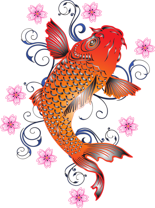 Koi Carp Fish Flower Cherry Cherry Blossom - Koi Fish, Transparent background PNG HD thumbnail