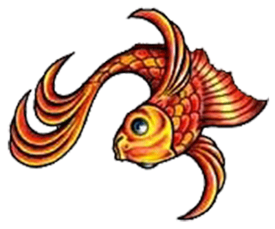 Koi Fish Tattoos Designs  High Quality Photos And Flash Designs Of Koi Fish Tattoos   - Koi Fish, Transparent background PNG HD thumbnail