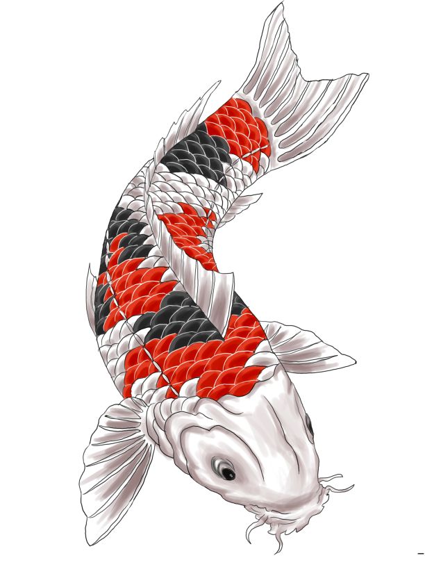 Koi Tattoo Design By Gaikotsu91 - Koi Fish, Transparent background PNG HD thumbnail