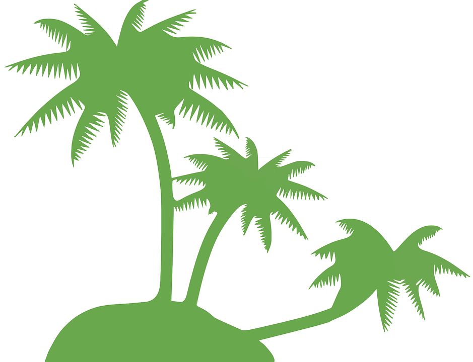 Kokospalme, Palme, Bäume, Hügel, Insel, Tropisch - Kokospalme, Transparent background PNG HD thumbnail