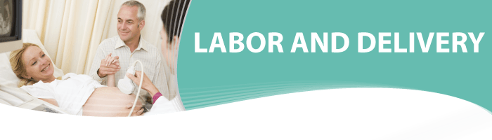 Family Birth Center - Labor Birth, Transparent background PNG HD thumbnail