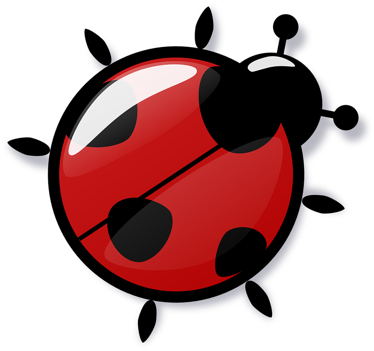 Ladybug, Red, Reflection, 4 - Ladybug, Transparent background PNG HD thumbnail