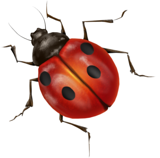 Ladybug Render 9.png