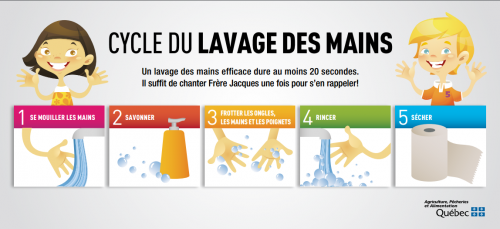 5 Images Illustrant Chacune Des Étapes Du Cycle De Lavage Des Mains. - Lavage Des Mains, Transparent background PNG HD thumbnail