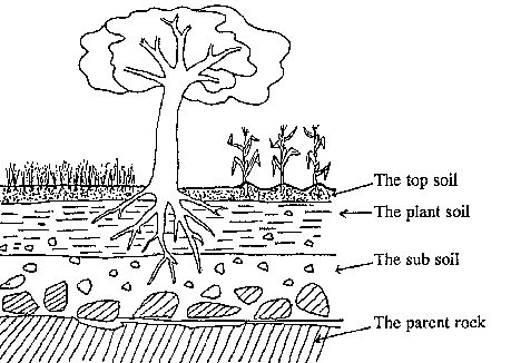 4.2: The Soil Is Made Up Of The Following Layers - Layers Of Soil Black And White, Transparent background PNG HD thumbnail