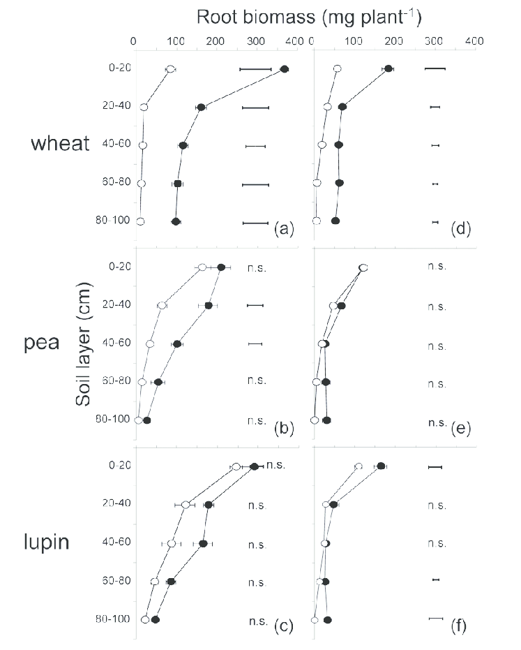 Root Biomass Of Wheat, Pea And Lupin At Different Soil Layers In Treatment P1 ( - Layers Of Soil Black And White, Transparent background PNG HD thumbnail