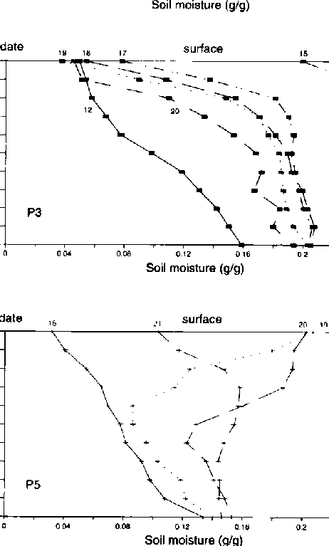 To Simulate Moist Surface Conditions Over Layers Of Dry Soil. They Both. ) - Layers Of Soil Black And White, Transparent background PNG HD thumbnail