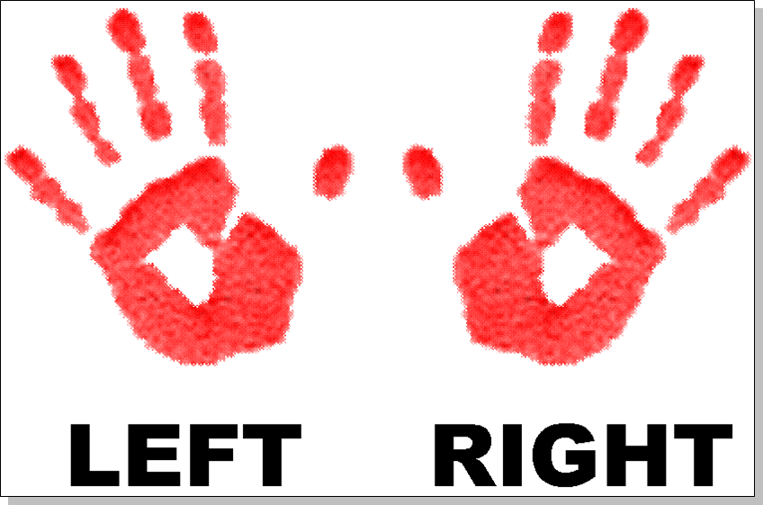 Cliparts Right Hand #2451766 - Left And Right Hand, Transparent background PNG HD thumbnail