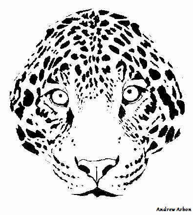 Black And White Version Of The Leopard Face Print (Circa: 2012)See More - Leopard Face, Transparent background PNG HD thumbnail
