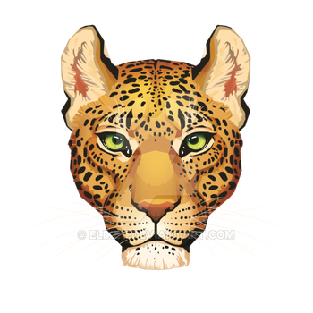Eliket 15 0 Leopard Face By Eliket - Leopard Face, Transparent background PNG HD thumbnail