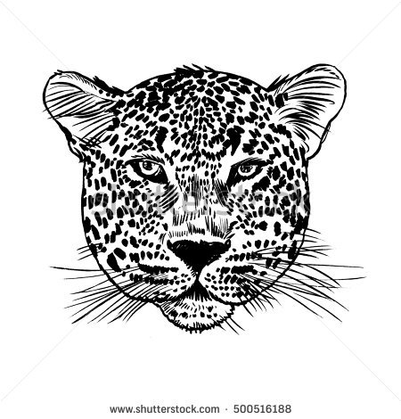 Leopard Face Tattoo ,vector Illustration, Print - Leopard Face, Transparent background PNG HD thumbnail