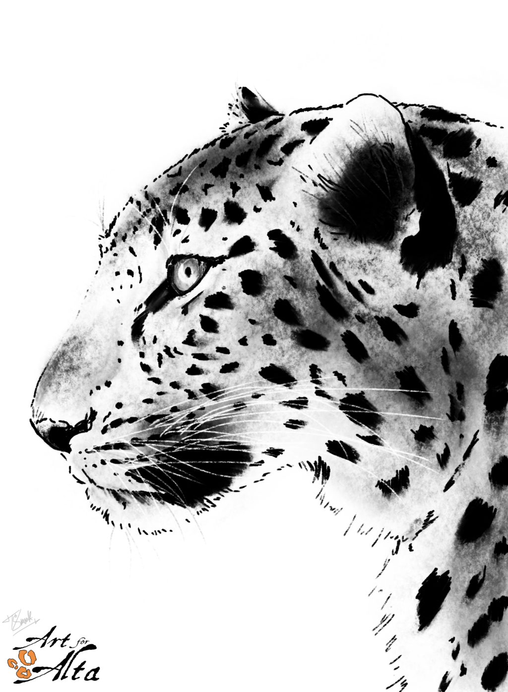 . Hdpng.com Amur Leopard   Its Black And White By Tkstasiuk - Leopard Black And White, Transparent background PNG HD thumbnail