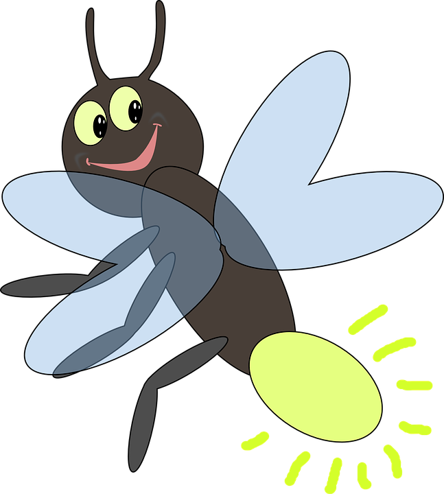 Firefly, Bug, Lightning, Insect, Smile, Backyard, Yard - Lightning Bug, Transparent background PNG HD thumbnail