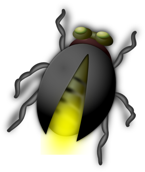 Lightning Bug Png - Png: Small · Medium · Large, Transparent background PNG HD thumbnail