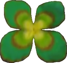 File:Lily Pad-icon.png