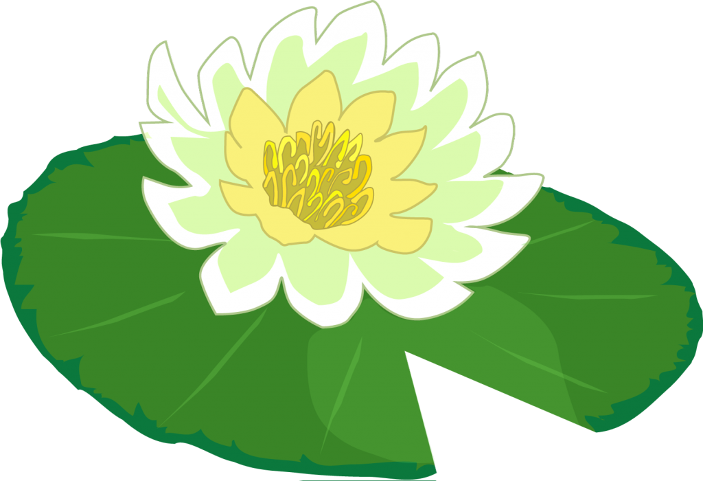 Lily Pad Picture #2278717 - Lily Pad, Transparent background PNG HD thumbnail