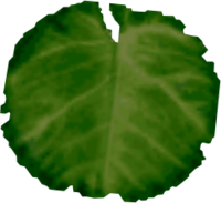 Lilypad Mm.png - Lily Pad, Transparent background PNG HD thumbnail