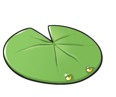 Lily pads (Nymphaea) are the 