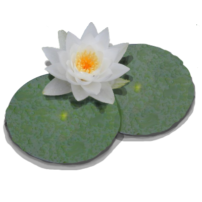 Lilypond Logo.png Hdpng.com  - Lily Pad, Transparent background PNG HD thumbnail