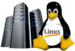 Download Linux Hosting Png Images Transparent Gallery. Advertisement - Linux Hosting, Transparent background PNG HD thumbnail
