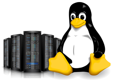 Why Linux Web Hosting is One 