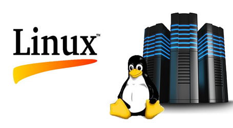 Best Linux Hosting in Banglad