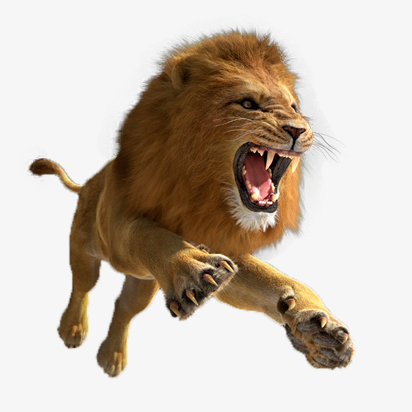 Leaping Lion, Product Kind, Golden, Zhang Tooth Grin Png Image And Clipart - Lion And Den, Transparent background PNG HD thumbnail