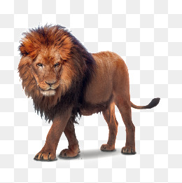 Lion, Wild Beast, Feline, 3D Png And Psd - Lion, Transparent background PNG HD thumbnail