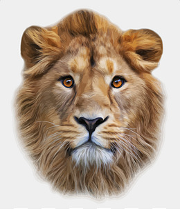 Vector Lion Head, Vector, Lion, Head Png And Vector - Lion Head, Transparent background PNG HD thumbnail
