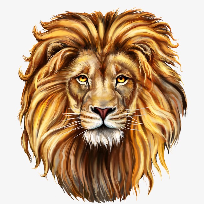 lion head by Bongkey PlusPng 