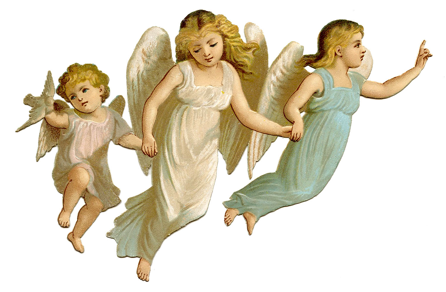 3 Baby Angels Picture   Hd Wallpapers - Little Angel, Transparent background PNG HD thumbnail