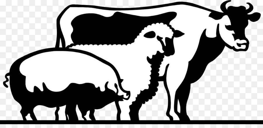 Cattle Domestic Pig Livestock Show Clip Art   Cattle - Livestock Show Animal, Transparent background PNG HD thumbnail