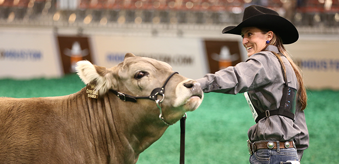 From Across The U.s. And Texas, Exhibitors Of All Ages Come To The Houston Livestock Show™ Each Spring For A Chance At A Championship Title. - Livestock Show Animal, Transparent background PNG HD thumbnail