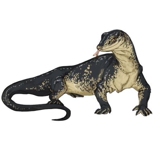 Image   Item Monitor Lizard.png | Clanheart Wiki | Fandom Powered By Wikia - Lizard, Transparent background PNG HD thumbnail