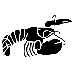 Custom Clipart - Lobster Black And White, Transparent background PNG HD thumbnail