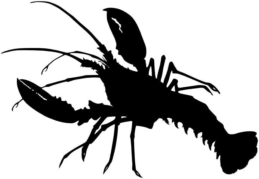 lobster clipart black and whi