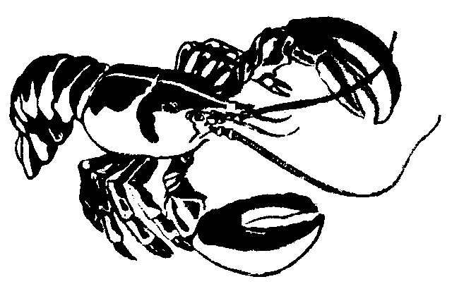 Lobster Clip Art - Lobster Black And White, Transparent background PNG HD thumbnail