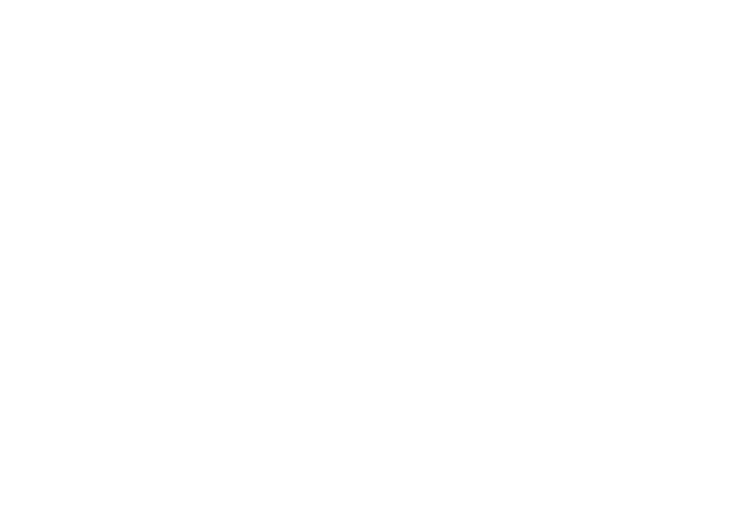 AKZO Nobel Logo