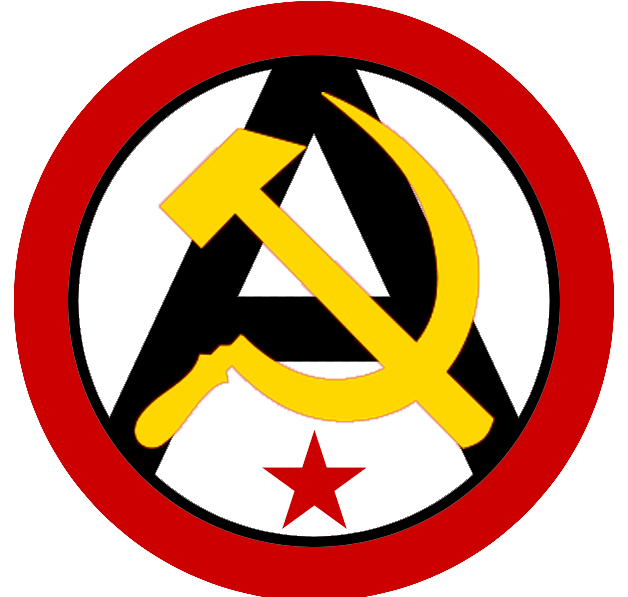 Anarcho communist usa flag by
