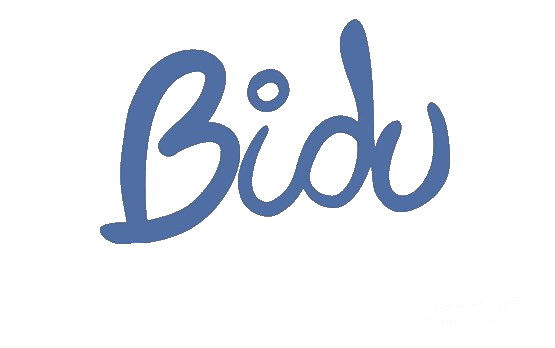 Logo Bidu PNG-PlusPNG.com-497