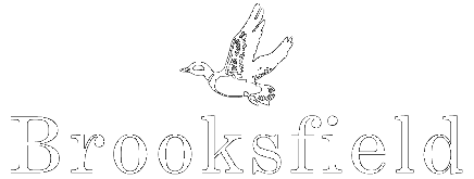 Logo Brooksfield Png - Report, Transparent background PNG HD thumbnail
