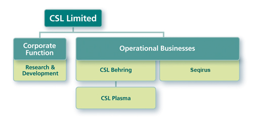 Chart Depicts The Business Structure Of Csl Limited - Csl Limited, Transparent background PNG HD thumbnail