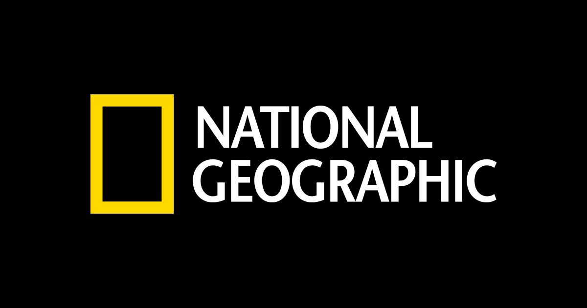 Logo National Geographic Png Hdpng.com 1200 - National Geographic, Transparent background PNG HD thumbnail