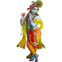 PNG Lord Krishna-PlusPNG plus