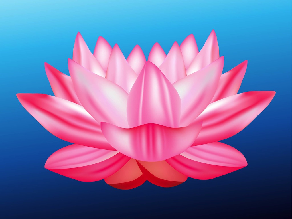 Lotus Flower Png Hd Hdpng.com 1024 - Lotus Flower, Transparent background PNG HD thumbnail