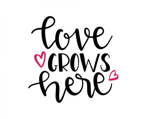 Love Grows Here - Love Quotes, Transparent background PNG HD thumbnail