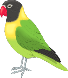 Masked Lovebird Agapornis Personata - Lovebird, Transparent background PNG HD thumbnail