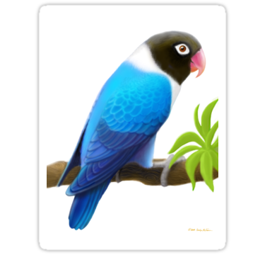 Lovebird Parrot Clip art - Pa