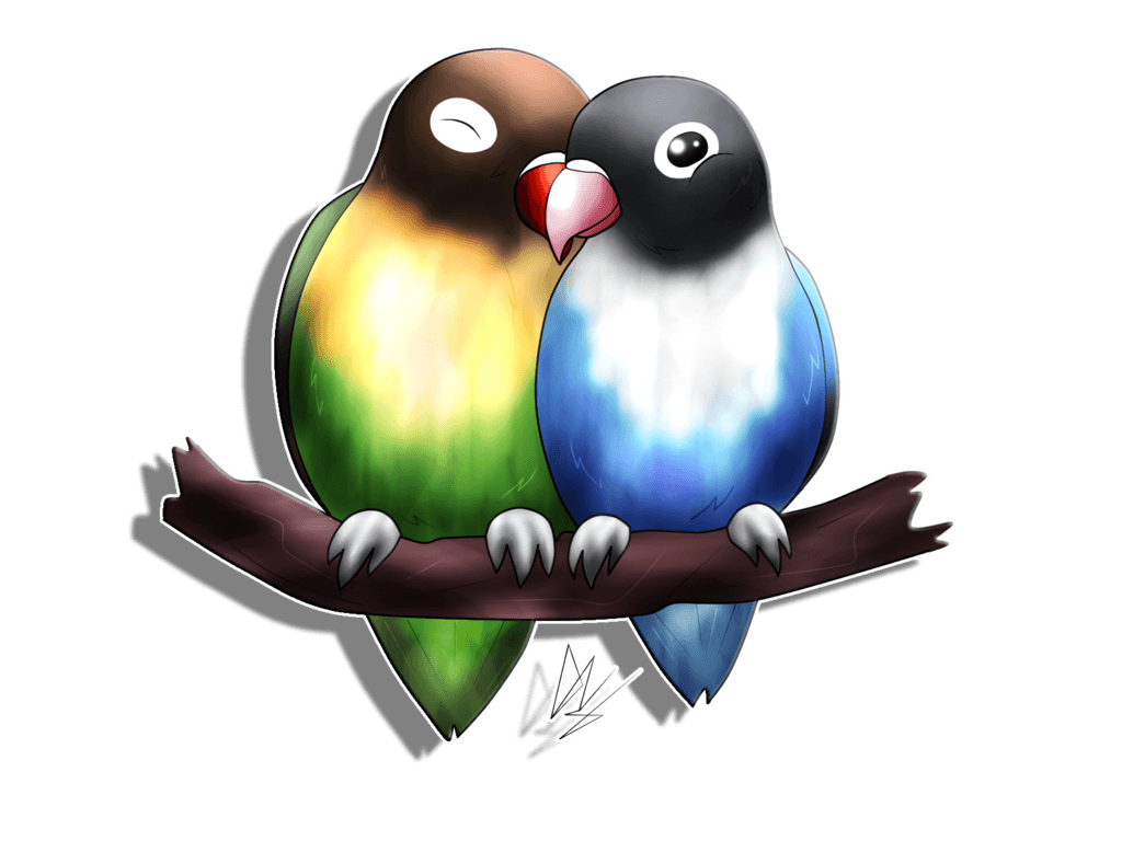 Digital Art On Lovebird Lovers   Deviantart - Lovebirds, Transparent background PNG HD thumbnail